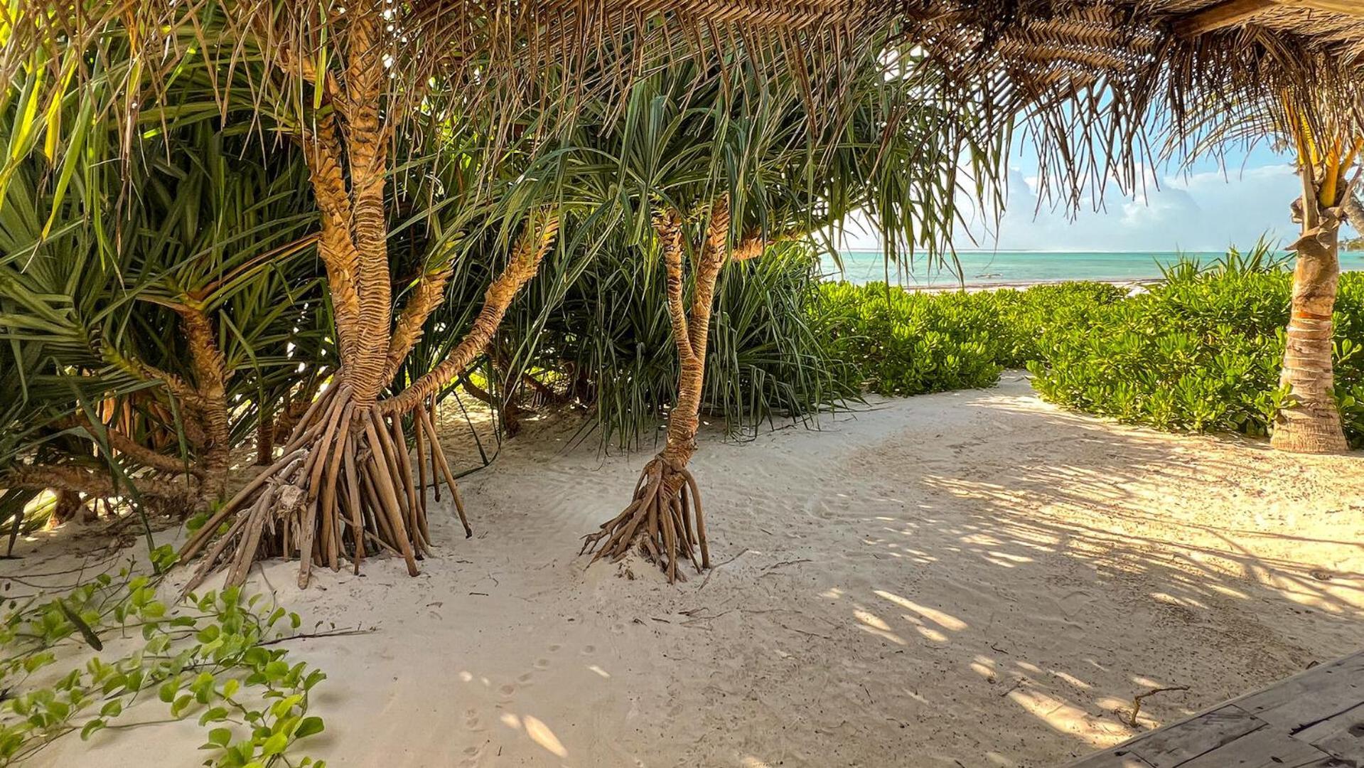 Infinity Beach Boutique Hotel & Spa Matemwe  Exterior photo